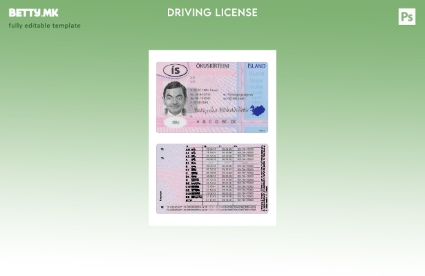 Модерен стил исландска возачка дозвола присутен шаблон